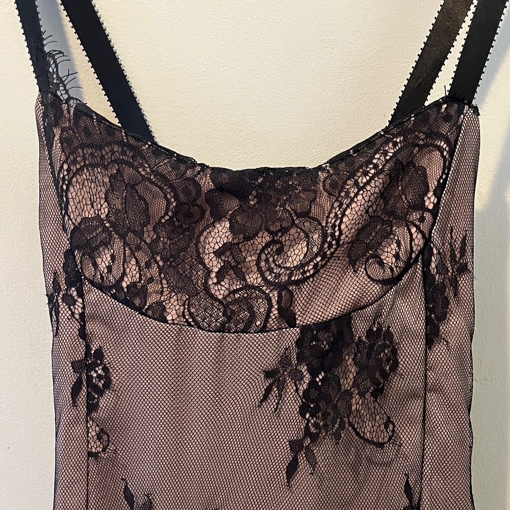 Anthropologie Taupe Satin Slip Dress with Black Lace Overlay - Picture 6 of 8